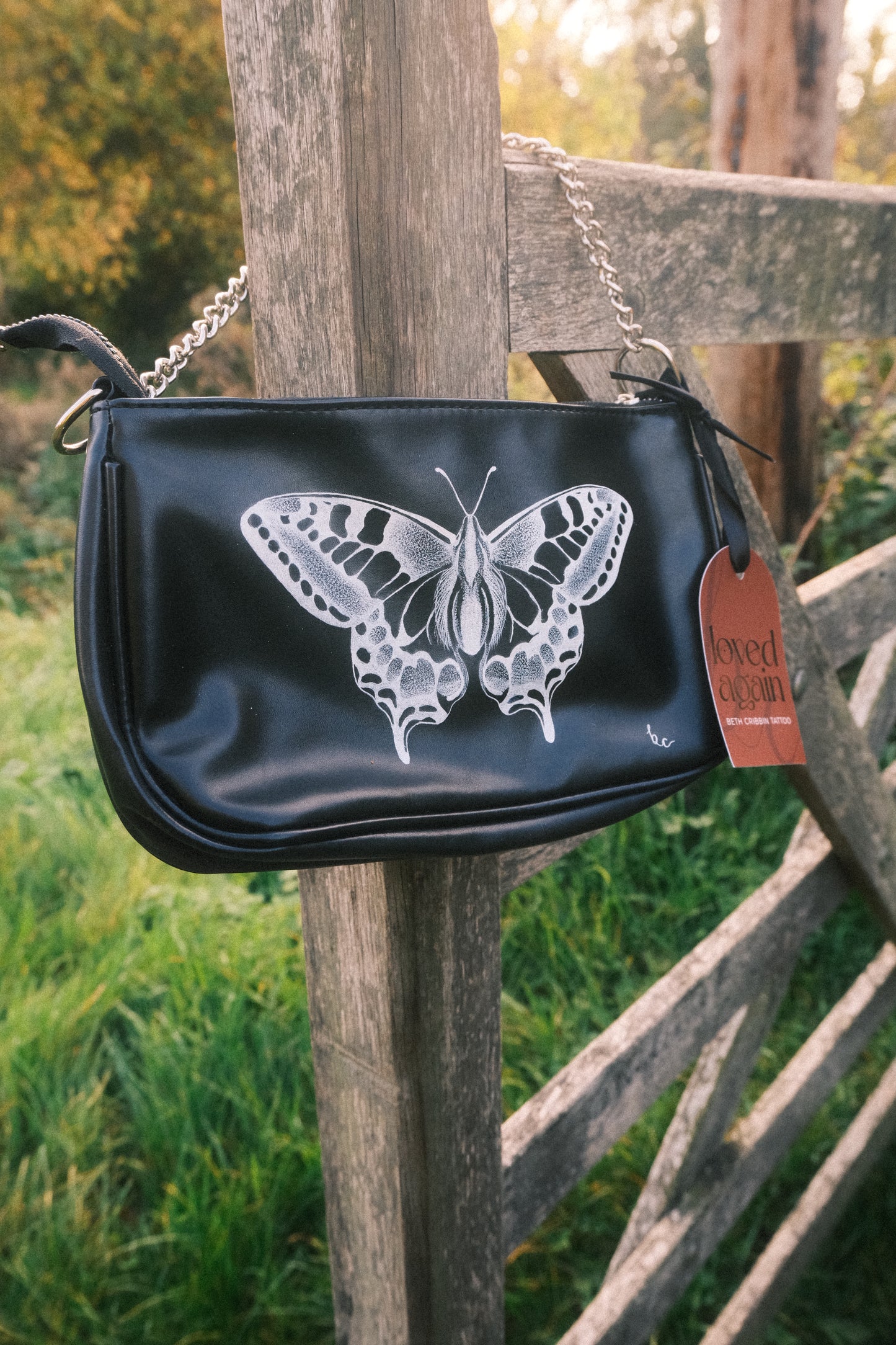 Butterfly Bag with Silver Chain