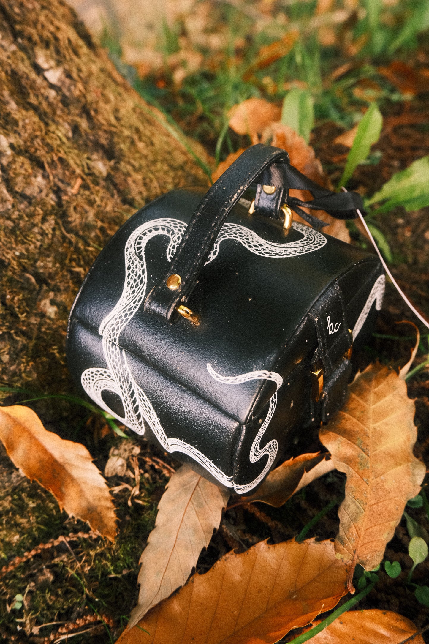 Snake Jewellery Box