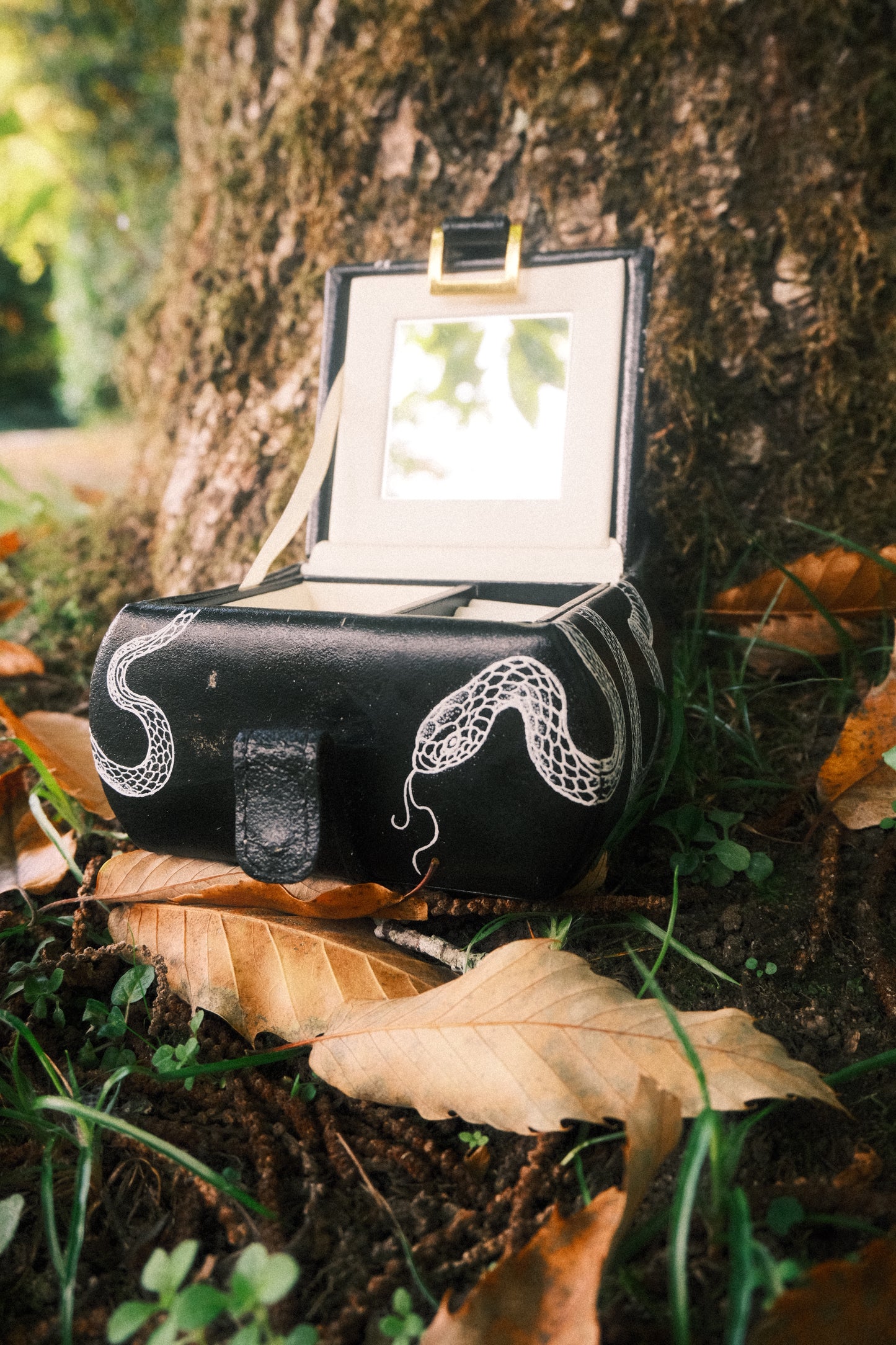 Snake Jewellery Box
