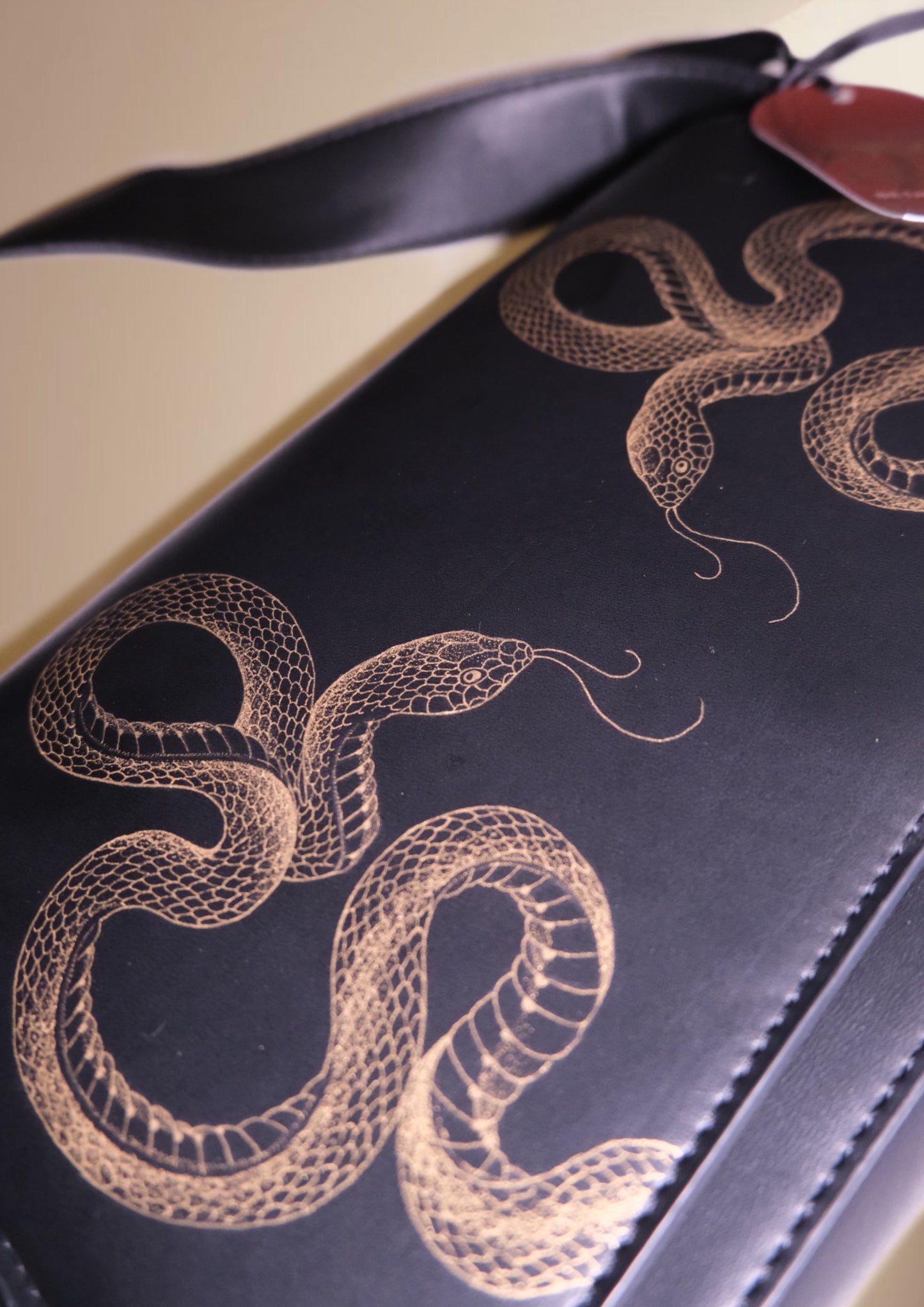 Black Crossbody Snakes Bag