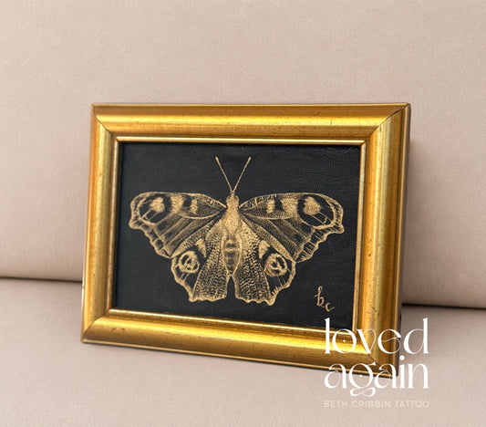 Framed Peacock Butterfly